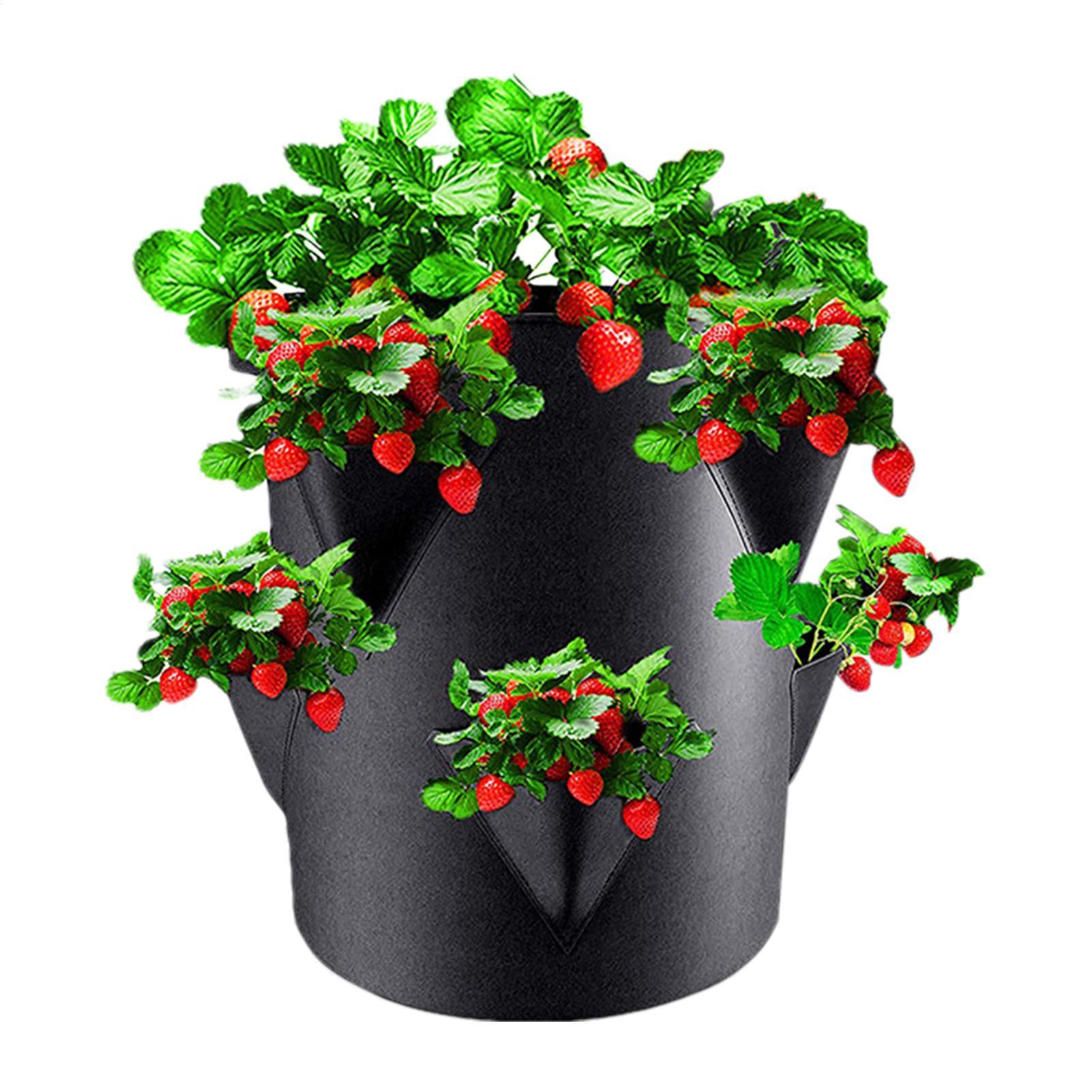 7 Gallons Strawberry Planting  - Vertical Planter Tower 评论和价格