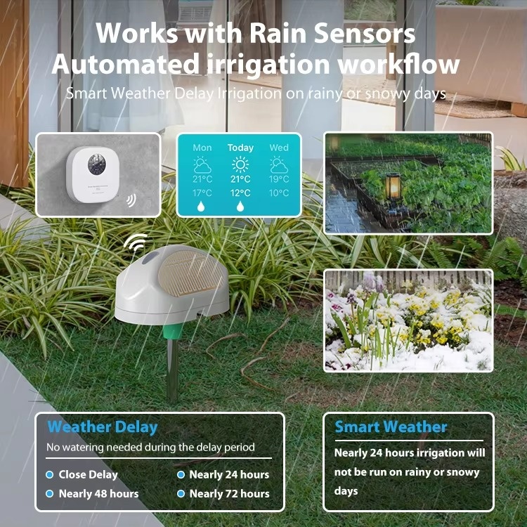Tuya WiFi Smart Sprinkler Cont - Smart Garden Zone 评论和价格