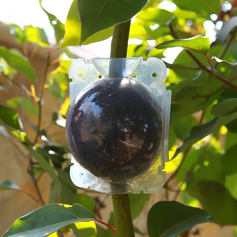 10Pcs High Pressure Plant Root - Smart Garden Storage 评论和价格