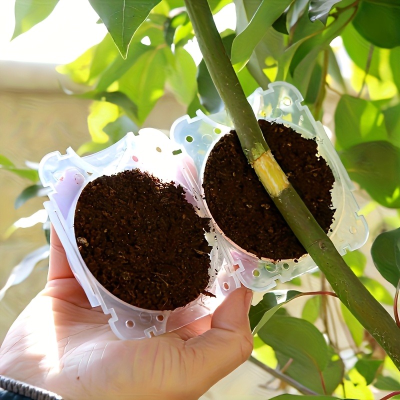 10Pcs High Pressure Plant Root - Smart Garden Storage 评论和价格