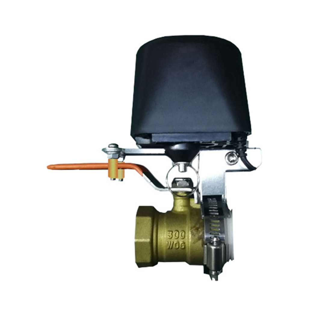 (A02R] Tuya Smart WiFi Water V - Smart Garden Is 评论和价格